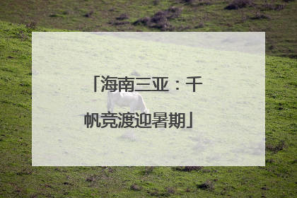海南三亚：千帆竞渡迎暑期