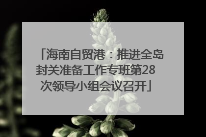 海南自贸港：推进全岛封关准备工作专班第28次领导小组会议召开