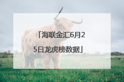 海联金汇6月25日龙虎榜数据