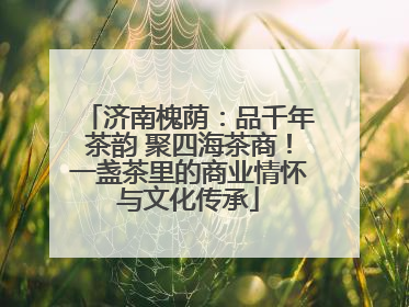 济南槐荫：品千年茶韵 聚四海茶商！一盏茶里的商业情怀与文化传承