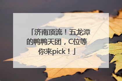 济南顶流！五龙潭的鸭鸭天团，C位等你来pick！