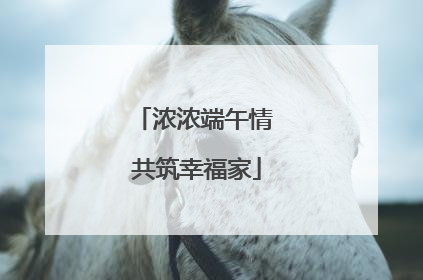 浓浓端午情 共筑幸福家