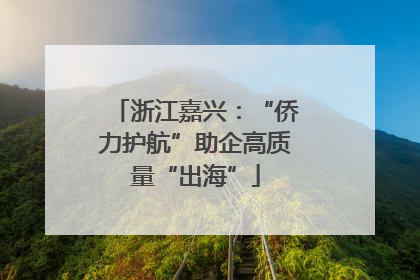 浙江嘉兴：“侨力护航”助企高质量“出海”