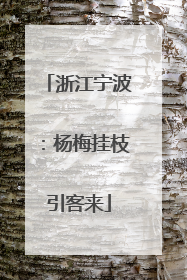 浙江宁波：杨梅挂枝引客来