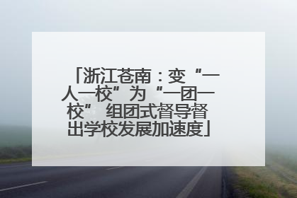 浙江苍南：变“一人一校”为“一团一校” 组团式督导督出学校发展加速度