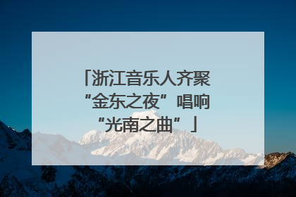 浙江音乐人齐聚“金东之夜”唱响“光南之曲”