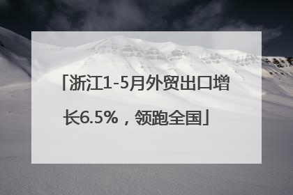浙江1-5月外贸出口增长6.5%，领跑全国