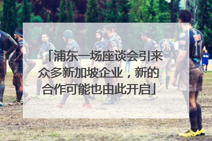 浦东一场座谈会引来众多新加坡企业，新的合作可能也由此开启