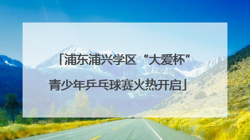 浦东浦兴学区“大爱杯”青少年乒乓球赛火热开启