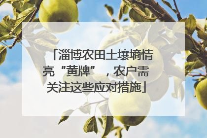 淄博农田土壤墒情亮“黄牌”，农户需关注这些应对措施