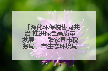 深化环保税协同共治 推进绿色高质量发展——张家界市税务局、市生态环境局签署合作备忘录