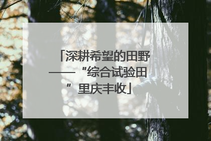 深耕希望的田野——“综合试验田”里庆丰收