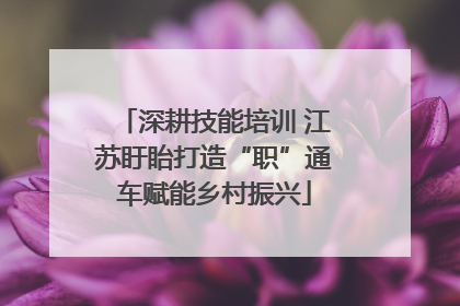 深耕技能培训 江苏盱眙打造“职”通车赋能乡村振兴