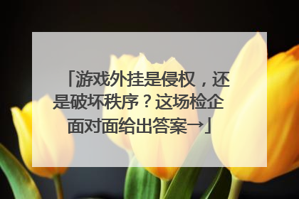 游戏外挂是侵权，还是破坏秩序？这场检企面对面给出答案→