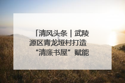 清风头条｜武陵源区青龙垭村打造“清廉书屋”赋能乡村振兴新风尚