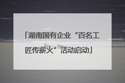 湖南国有企业“百名工匠传薪火”活动启动