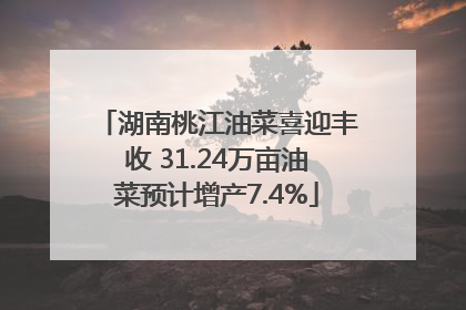 湖南桃江油菜喜迎丰收 31.24万亩油菜预计增产7.4%