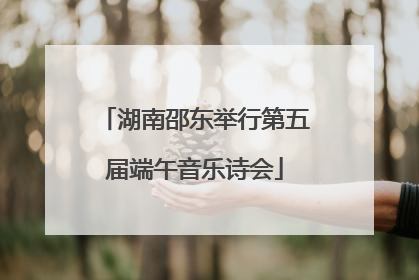 湖南邵东举行第五届端午音乐诗会