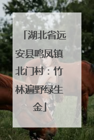 湖北省远安县鸣凤镇北门村：竹林遍野绿生金
