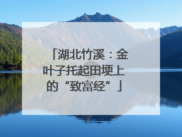 湖北竹溪：金叶子托起田埂上的“致富经”
