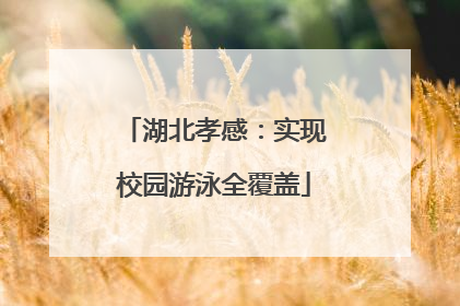 湖北孝感：实现校园游泳全覆盖