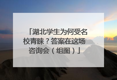 湖北学生为何受名校青睐？答案在这场咨询会（组图）