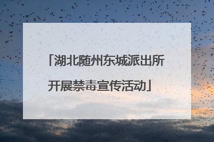 湖北随州东城派出所开展禁毒宣传活动