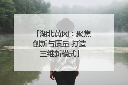 湖北黄冈：聚焦创新与质量 打造三维新模式