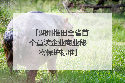 湖州推出全省首个童装企业商业秘密保护标准