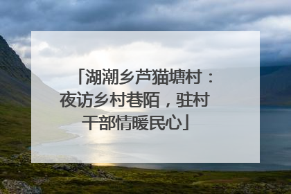 湖潮乡芦猫塘村：夜访乡村巷陌，驻村干部情暖民心