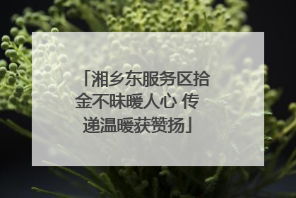 湘乡东服务区拾金不昧暖人心 传递温暖获赞扬