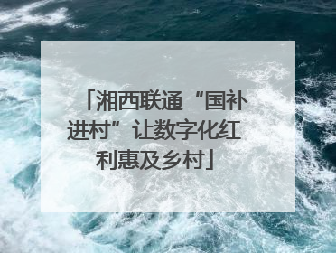 湘西联通“国补进村”让数字化红利惠及乡村