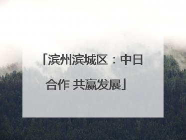 滨州滨城区：中日合作 共赢发展