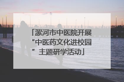 漯河市中医院开展“中医药文化进校园”主题研学活动