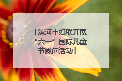 漯河市妇联开展“六一”国际儿童节慰问活动
