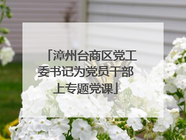 漳州台商区党工委书记为党员干部上专题党课