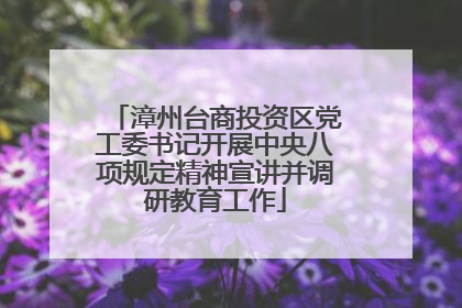 漳州台商投资区党工委书记开展中央八项规定精神宣讲并调研教育工作