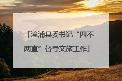 漳浦县委书记“四不两直”督导文旅工作