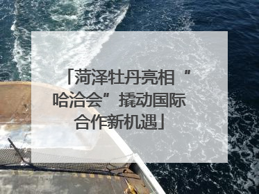 菏泽牡丹亮相“哈洽会”撬动国际合作新机遇