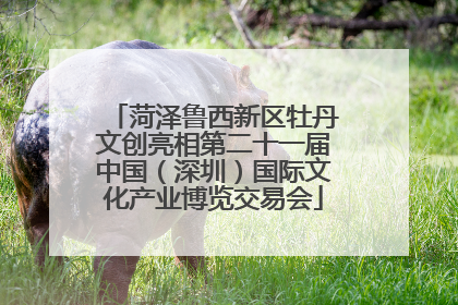 菏泽鲁西新区牡丹文创亮相第二十一届中国（深圳）国际文化产业博览交易会
