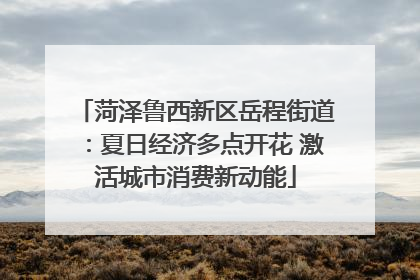 菏泽鲁西新区岳程街道：夏日经济多点开花 激活城市消费新动能
