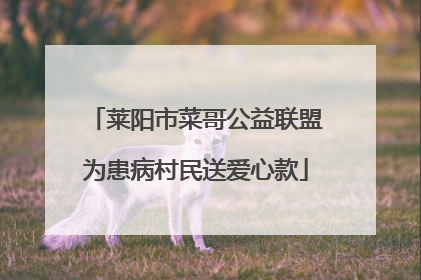 莱阳市菜哥公益联盟为患病村民送爱心款