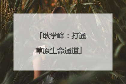 耿学峰：打通草原生命通道