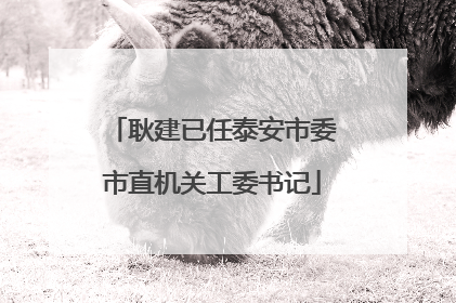 耿建已任泰安市委市直机关工委书记