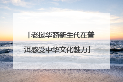 老挝华裔新生代在普洱感受中华文化魅力