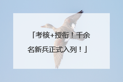 考核+授衔！千余名新兵正式入列！