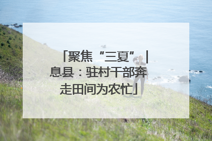 聚焦“三夏”｜息县：驻村干部奔走田间为农忙