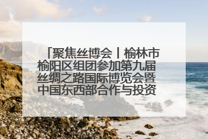 聚焦丝博会丨榆林市榆阳区组团参加第九届丝绸之路国际博览会暨中国东西部合作与投资贸易洽谈会