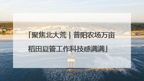 聚焦北大荒｜普阳农场万亩稻田夏管工作科技感满满