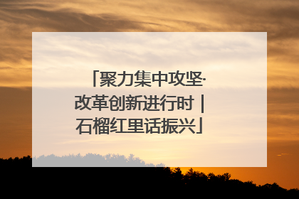 聚力集中攻坚·改革创新进行时｜石榴红里话振兴